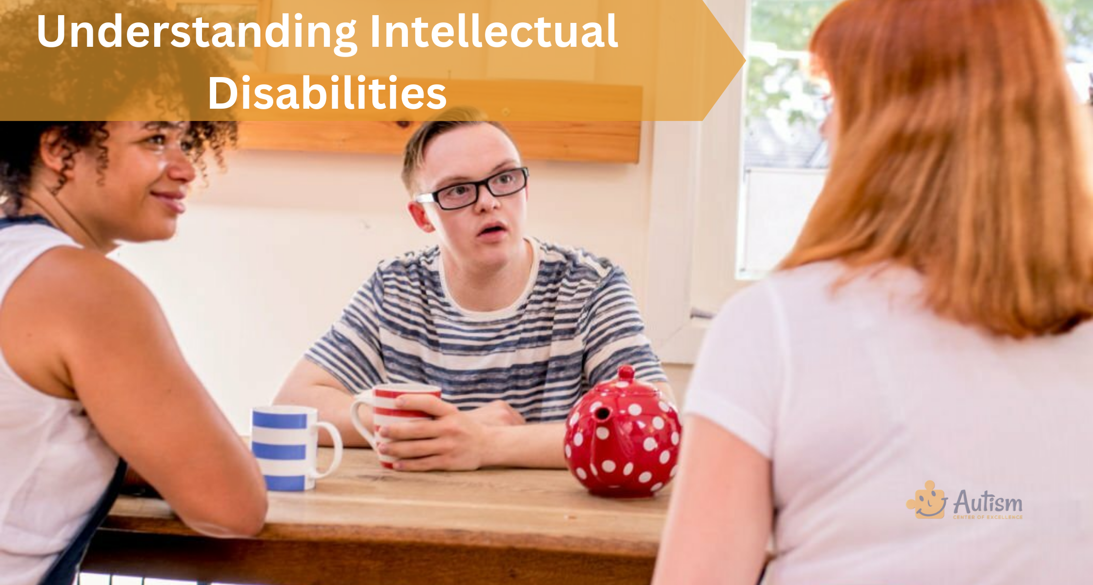 Understanding Children with Intellectual Disabilities<br />
