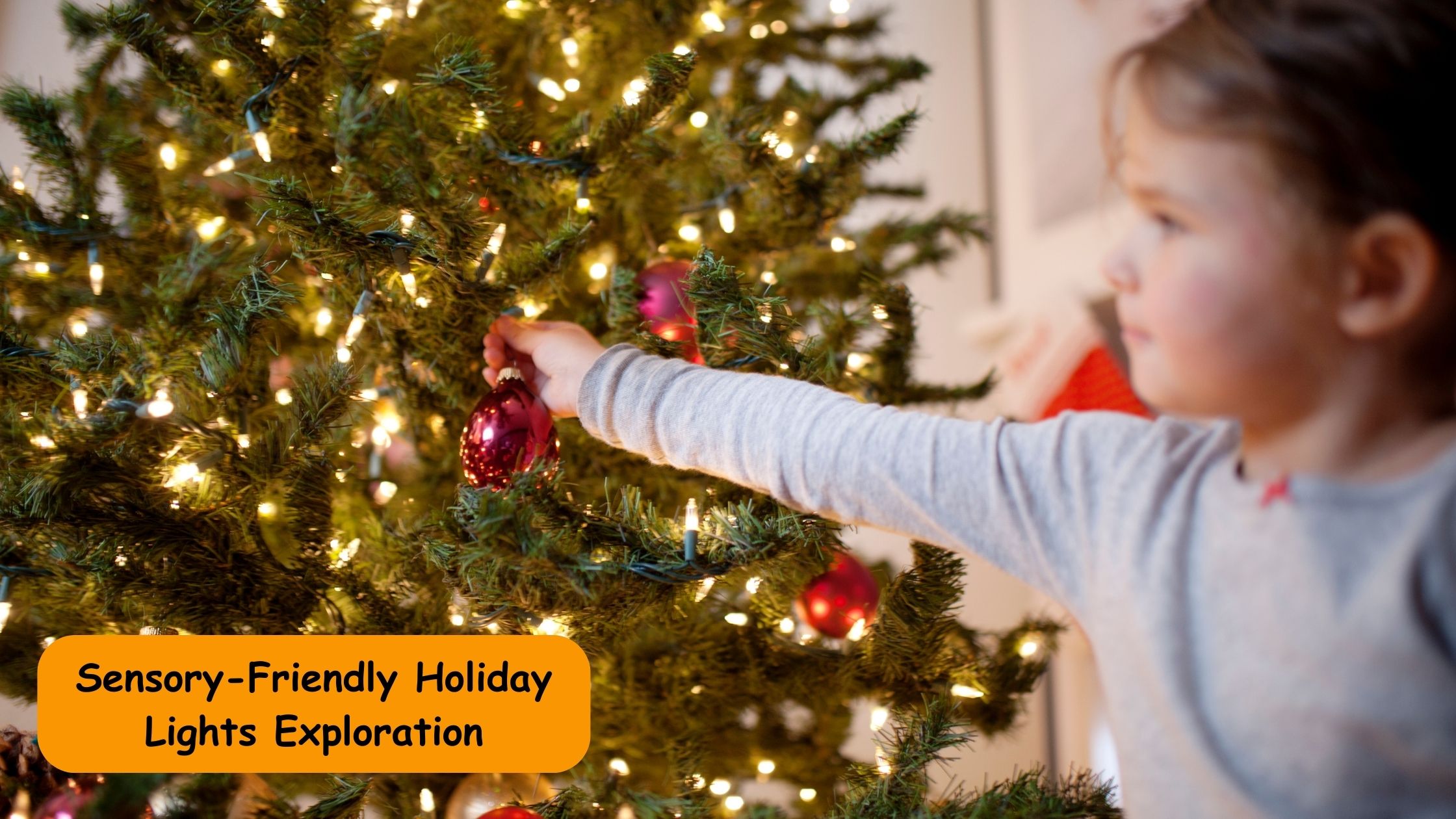 Sensory-Friendly Holiday Lights Exploration