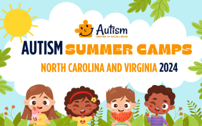 Autism Summer Camps North Carolina and Virginia