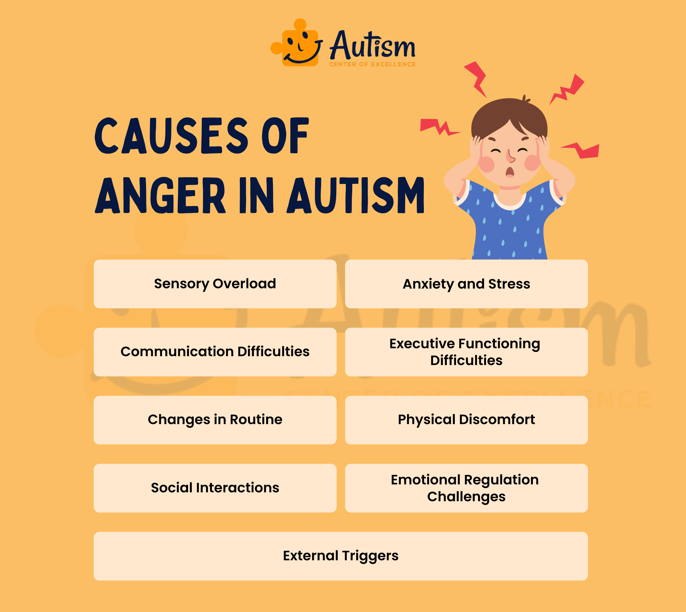 Causes of Anger in Autism