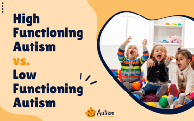 High-Functioning Autism vs. Low-Functioning Autism