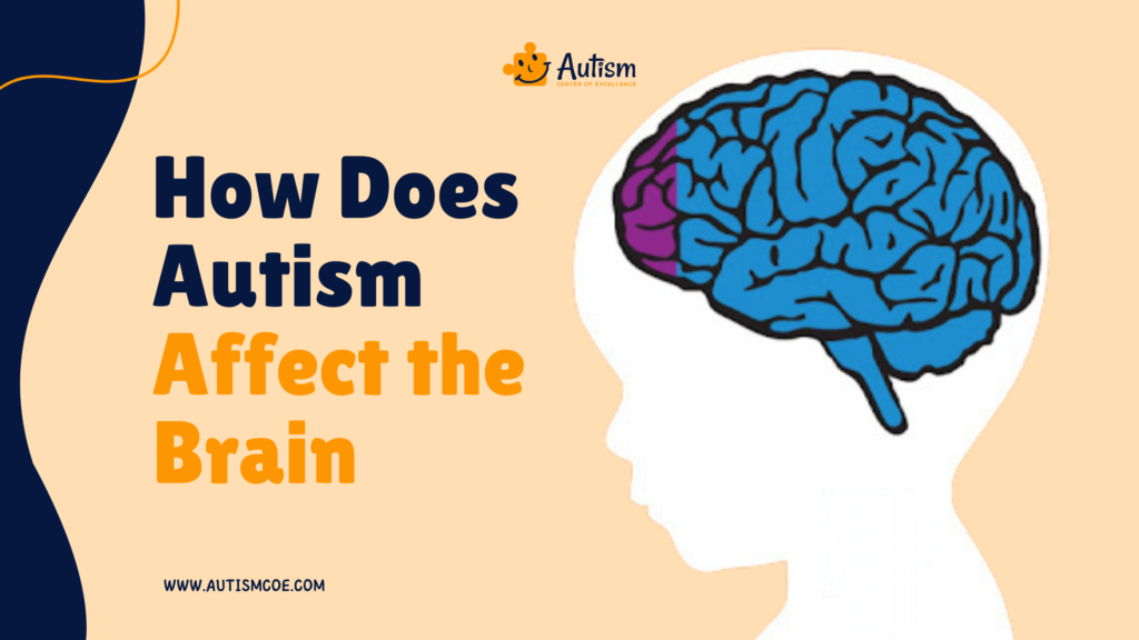 How Does Autism Affect the Brain