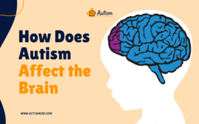 How Does Autism Affect the Brain